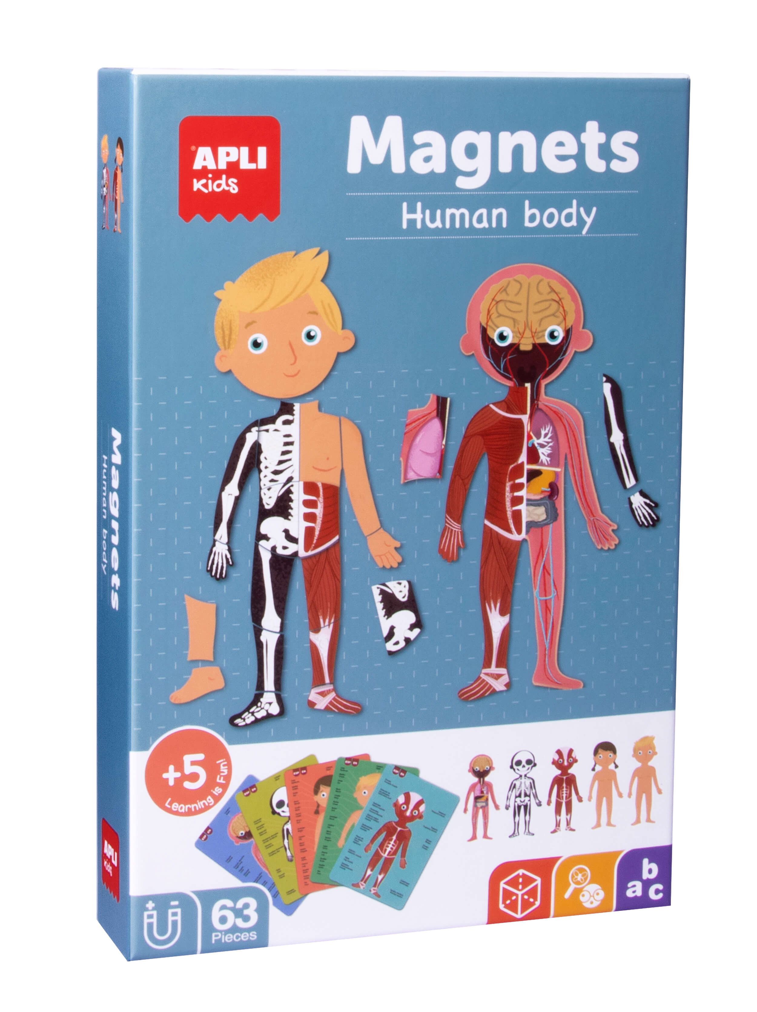 The Body magnets | APLI